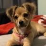 Maela Ashley