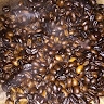 hika bersisa