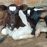 Kansiime Isaac