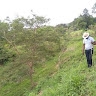 Justus Wambua
