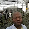walter m makotore