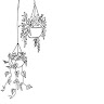 jaydene  