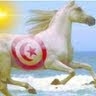 Dr_ESSEGHAIRI Kamel