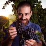 Fattoria Calcabrina