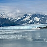 Isla Eckhardt