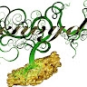 ENVYD ENT. RDG