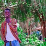 temesgen wagiso