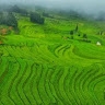 Awet Abrha