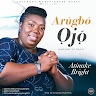 Olubunmi Bright
