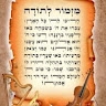 shalom erlich