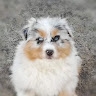 Giors Marmo
