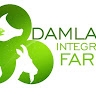 Damlade Integrated Farms  