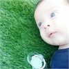 Nitay Abel