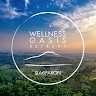 Wellness Oasis Retreats  