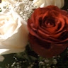 Rose Khan