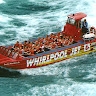 Doug Wilcox