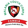 Zambia Malaria Youth Corps  
