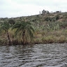 Eugene Karangwa