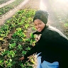 Sunshine Organic Farm Nursery