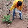 martin mwesigye