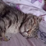 Карина Земскова