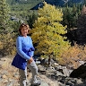 Kathy Schibler