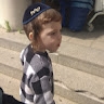 חוי שטיינר