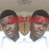 andala collins