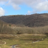 Amani MABANO