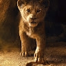 trailer killer