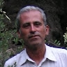 Gino Satta