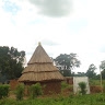 mugoya herbert