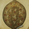 Ioan Popa