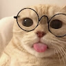 heather lin