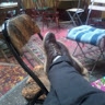 Noe Stehle