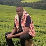 ILANYI ISAAC