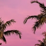 Abu Naser