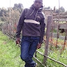 Ng'etich Andrew