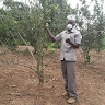 Amos Mutayomba