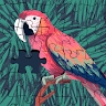 Kshitij Kulshrestha