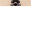 Wamana Titus