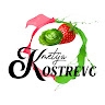 Marko Kostrevc