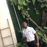 P.mister Kouadio