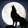 wolf weiss