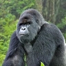 Zach Schwartz