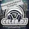Celeb DJ