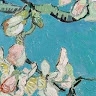 Galia Gavrilova