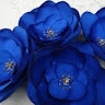 Benta Mugah