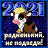 Игорь Бобров