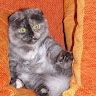 Nadezda Kalasnikova